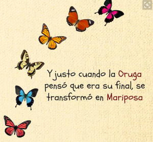 captura-de-pantalla-2016-10-30-a-las-1-51-35-p-m
